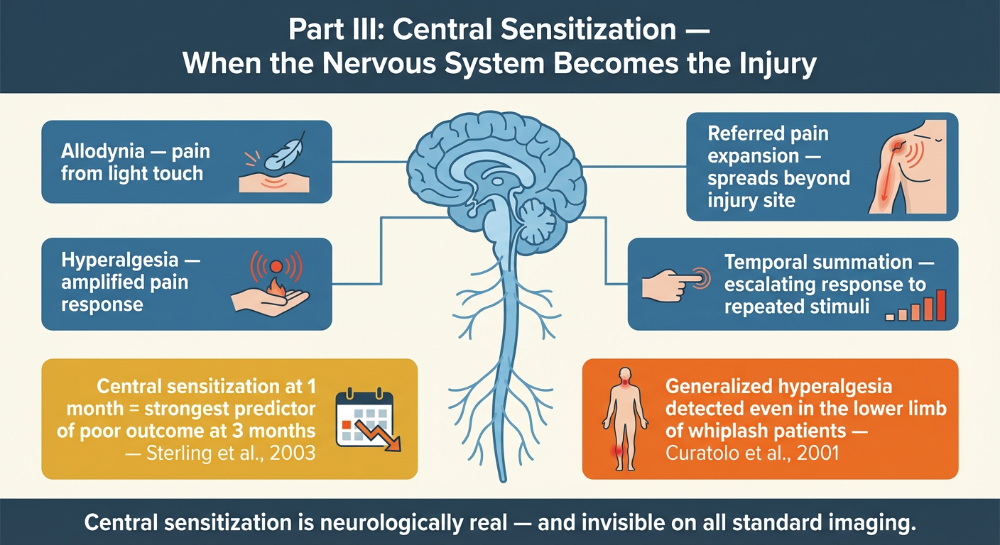 Beyond the X-Ray: Why Absence of Evidence Is Not Evidence of Absence in Whiplash and Low-Velocity Collision Injuries 6 Infographic — Central Sensitization and the Nervous System