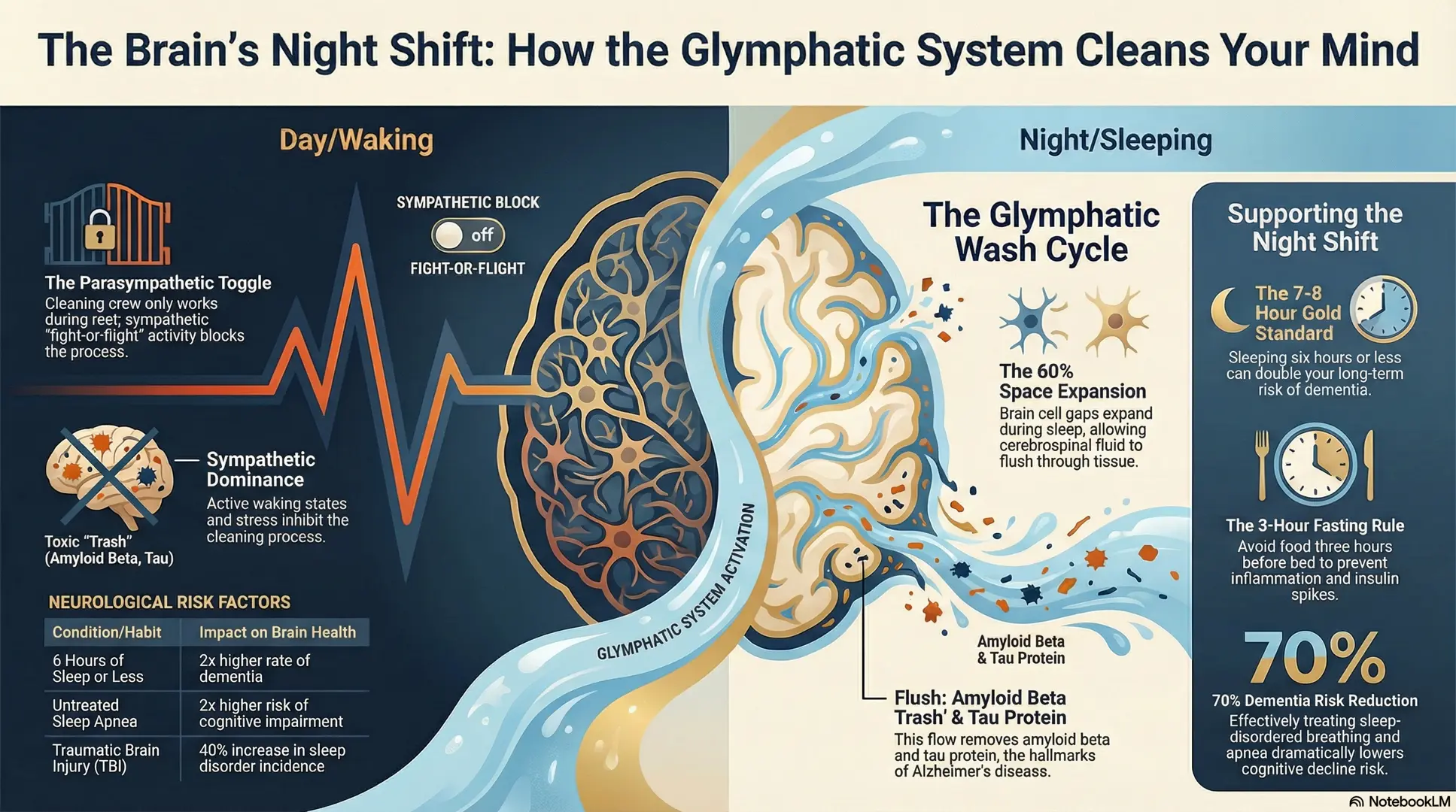Your Brain Is Listening — Whether You Challenge It or Let It Sleep 6 Illustration of the glymphatic system — the brain's waste clearance network active during sleep