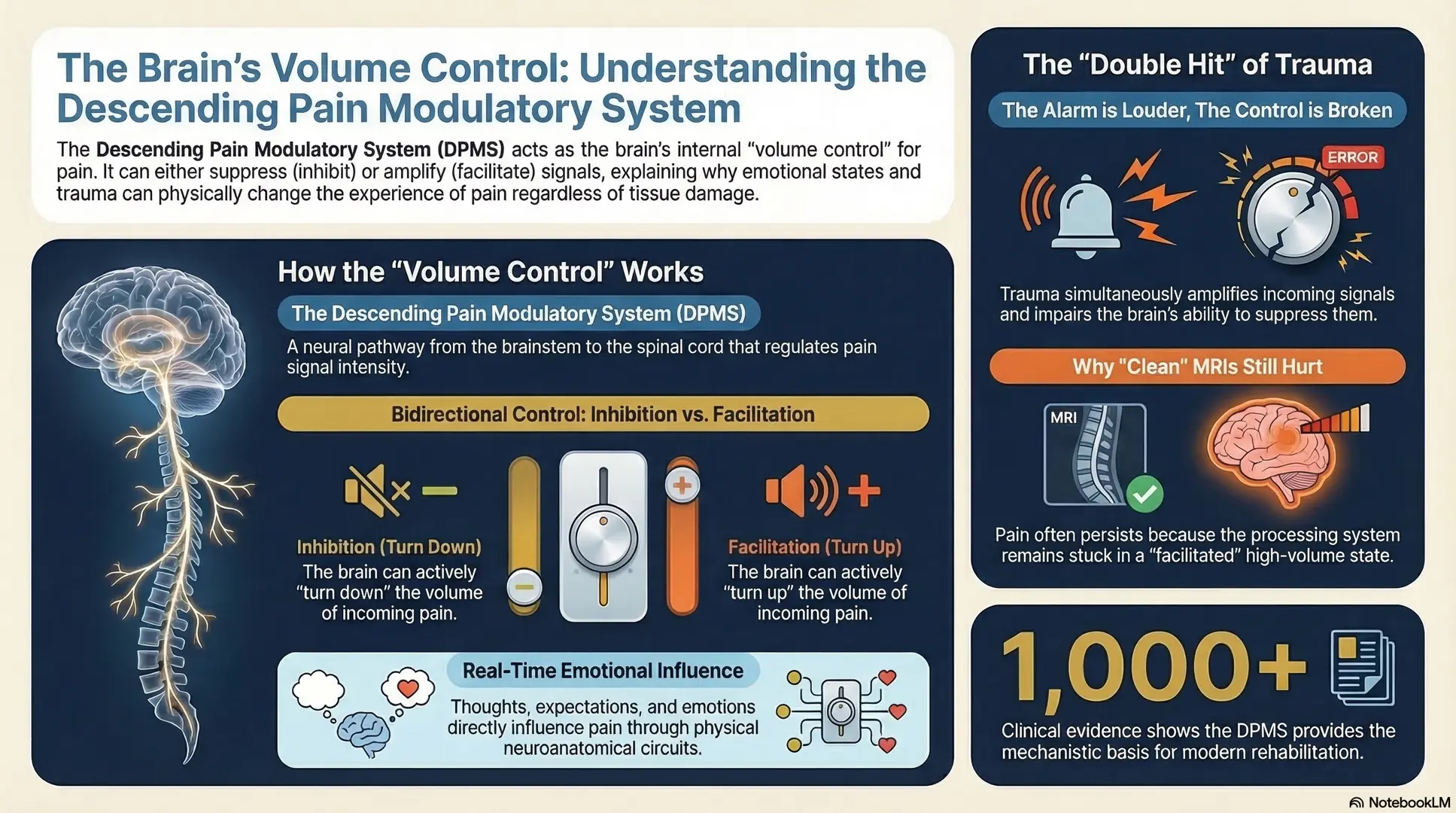 The descending modulation system — the brain's volume control