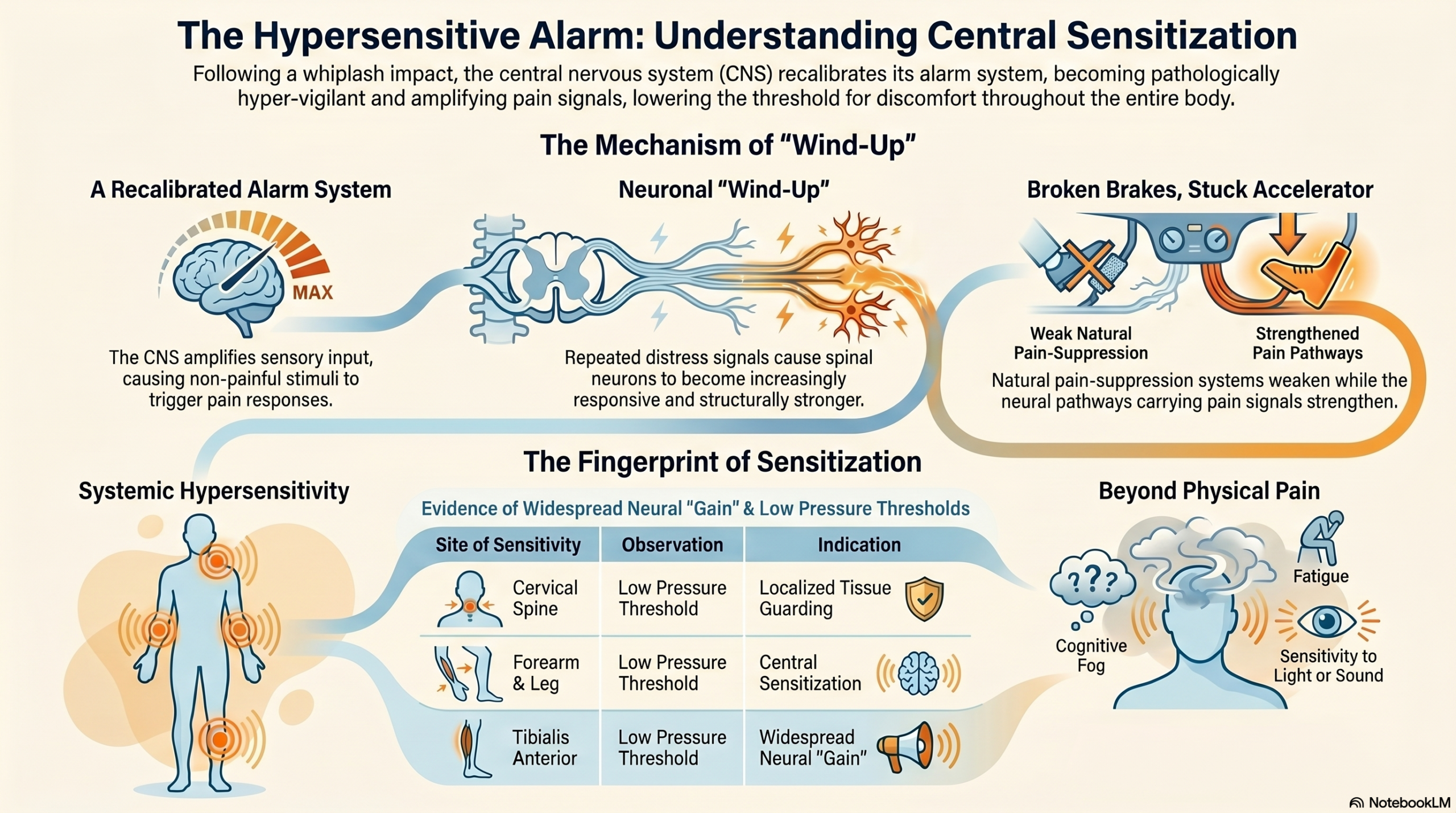 Bodies remember what minds forget 6 Central Sensitization: How the Nervous System Doesn't Forget infographic